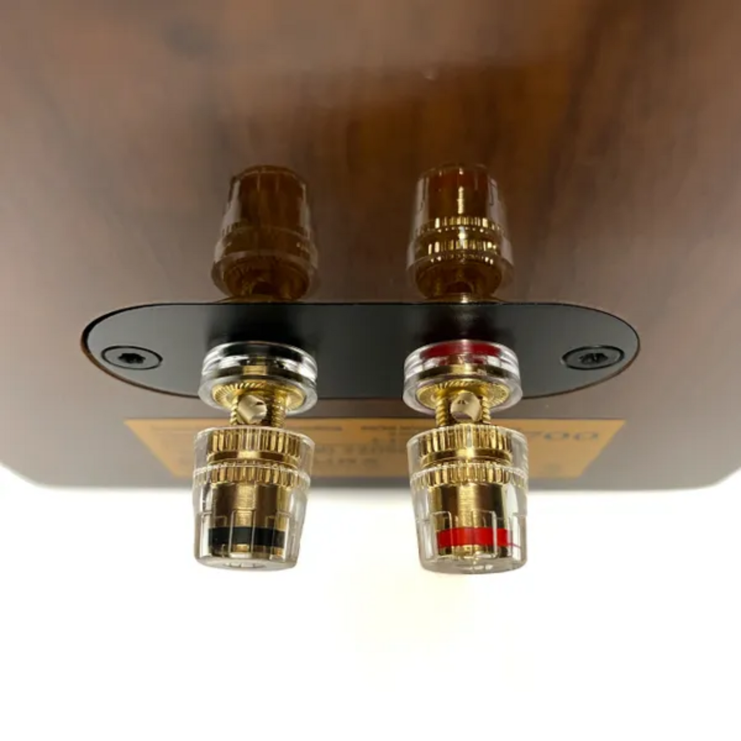 Official macro close-up view focusing directly on the heavy-duty gold-plated metal speaker terminals of a Blue Aura AT700 loudspeaker.