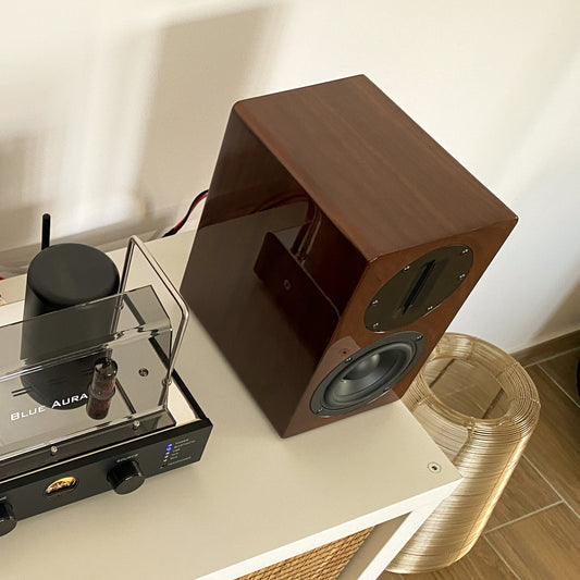 High-angle view of the Walnut right AT700 speaker without front grille, positioned next to the v50 amplifier.