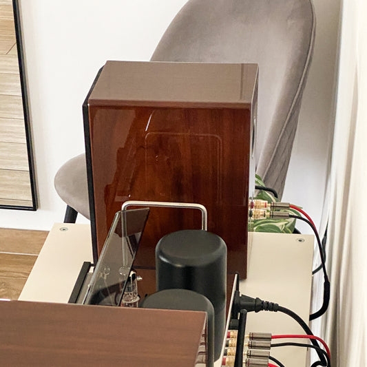 Detail of the high-gloss finish on the Walnut AT700 speaker reflecting the v50 amplifier.