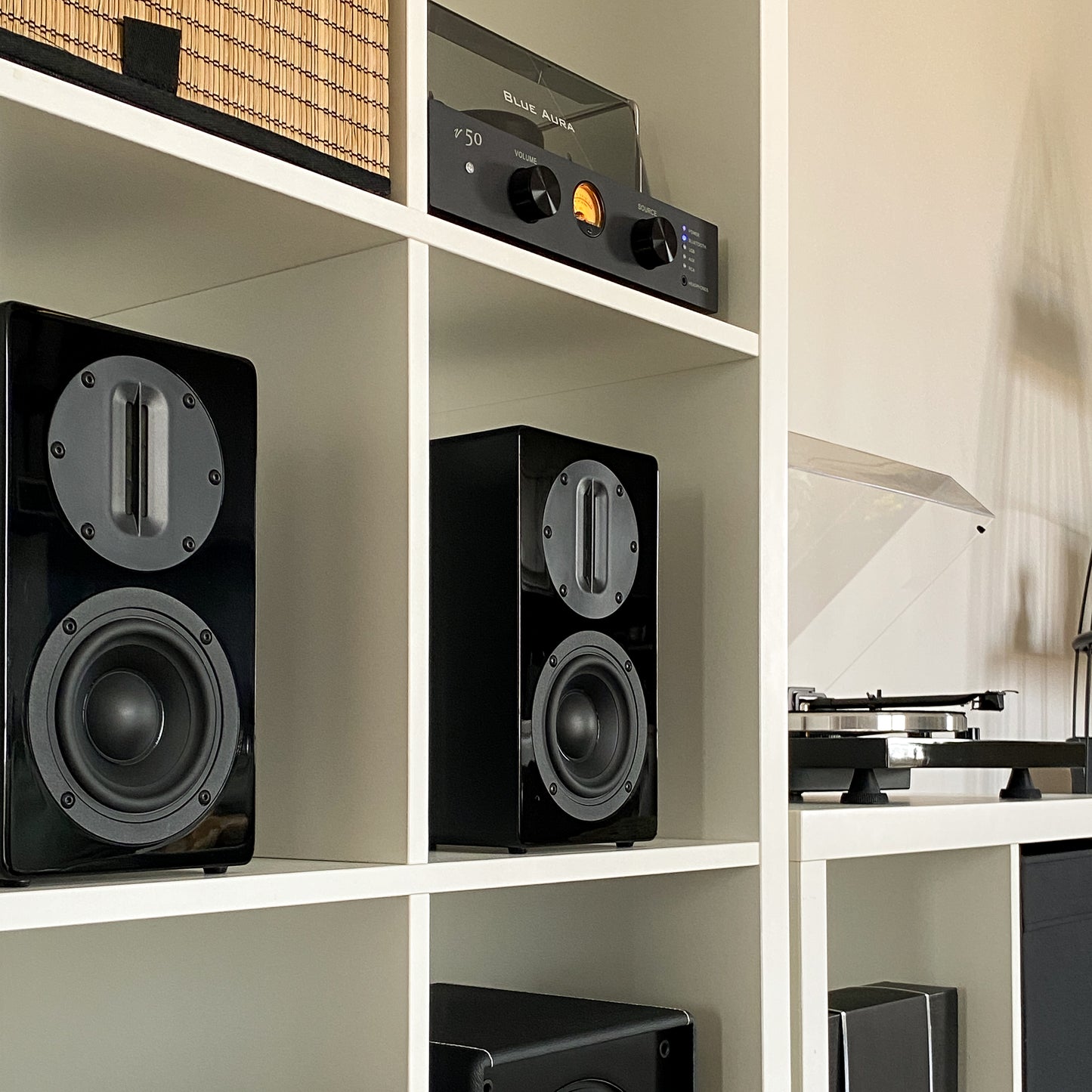 Pair of black Blue Aura AT700 speakers without grilles placed inside a white bookshelf.