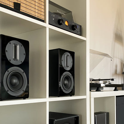 Pair of black Blue Aura AT700 speakers without grilles placed inside a white bookshelf.
