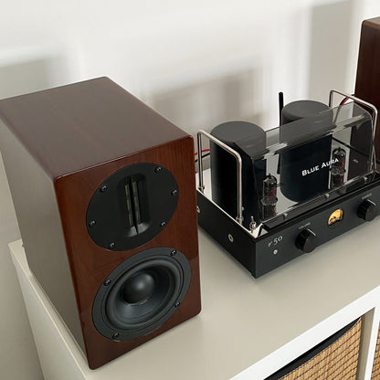 Close-up of the Walnut left AT700 speaker without front grille, with the v50 hybrid valve amplifier alongside.