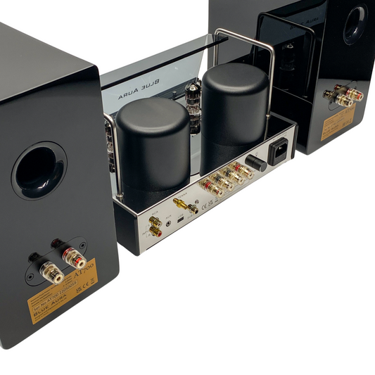Detail of the v50 hybrid amplifier rear panel inputs and gold-plated AT700 speaker terminals.