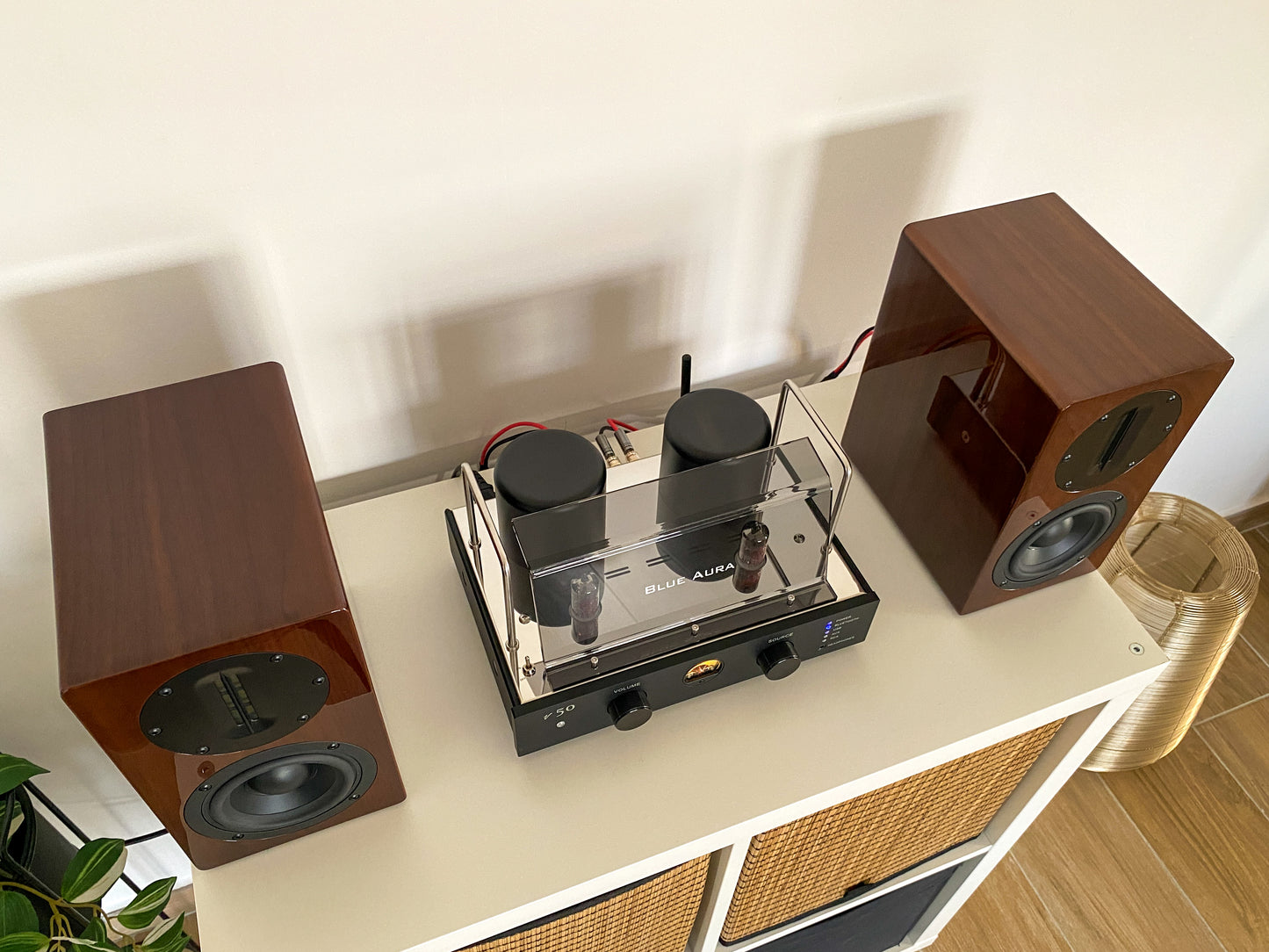 High-angle three-quarter lifestyle view of the complete Blue Aura Stereo System on a white cabinet, showcasing the premium high-gloss Walnut AT700 speakers capturing the clear side profile reflection of the turned-on v50 hybrid amplifier.