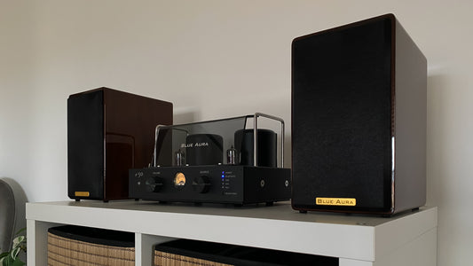 Three-quarter lifestyle view of the high-gloss Walnut AT700 speakers under warm ambient lighting, highlighting the premium gold logo badge on the fabric grilles next to the turned-on v50 amplifier.
