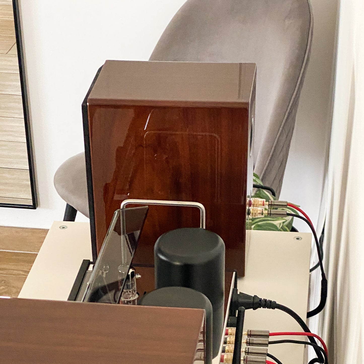 Detail of the high-gloss finish on the Walnut AT700 speaker reflecting the v50 amplifier.